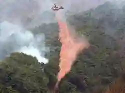Helikopter Pemadam Kebakaran Jatuh di Korea Selatan, Menewaskan Pilot